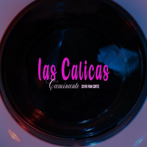 Caminante (Cover Version Fran Cortes)