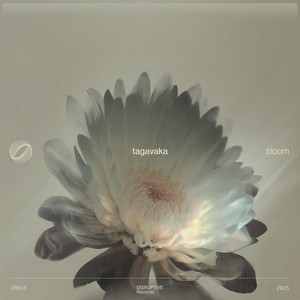 Bloom by Tagavaka