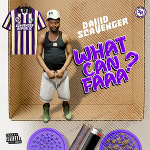 What can faaa by David Scavenger