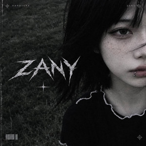 zany by DJ SENSX, WiNDeiL