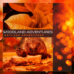 Subtle Vibrant by Wetland Adventures