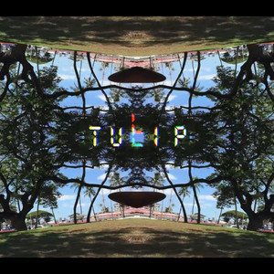 Portada de Tulip
