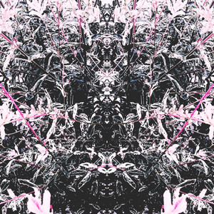 MOLECULES