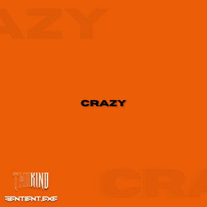 Crazy by SENTIENT.EXE, TWO KIND