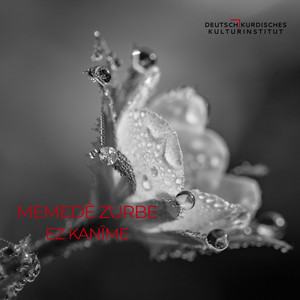 MEMEDÊ ZURBE - Sînemê