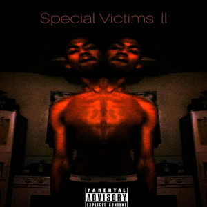 Special Victims ll cover