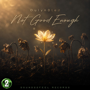 Not Good Enough by Dulyn0ted