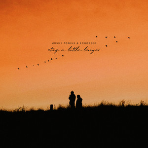 Stay A Little Longer by Mushy Tonius, Echoseed