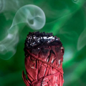40Dayz/DirtySage