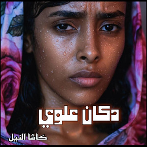 دكان علوي by كاشا النيل | Kasha Alneel