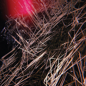 Tokyo Exorcist by Prurient