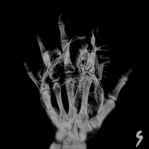 Rgn23 (Slowed)