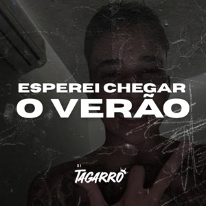 Dj Tagarro - Esperei Chegar o Verão