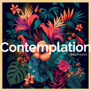 Contemplation