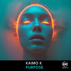 Purpose - Radio Edit by Kaimo K