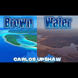Brown Water by Carlos Upshaw
