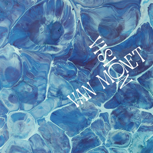 Vision by Van Monet