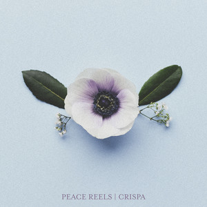 The Sunny Side by Peace Reels