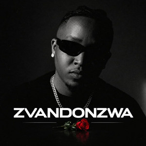 Zvandonzwa by official Movy D Streets Music, Prosper Fi Real