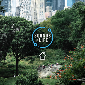 Sounds of Life - City Sounds - Birds and Distant City, Pt. 2