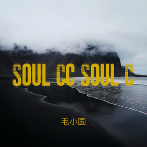 Soul Cc Soul C