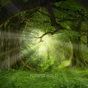 Warm Embrace - Loopable Rain by Forest Halo