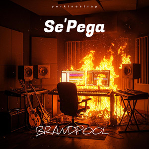 SE'PEGA by Brandpool