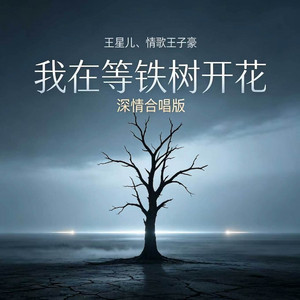 我在等铁树开花 - 深情合唱版 by 王星儿, 情歌王子豪