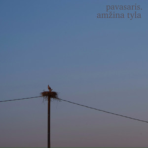 amžina tyla by pavasaris.