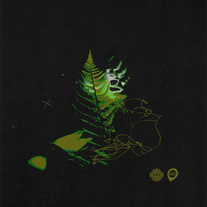 Salvaje by illoh, Lowcation