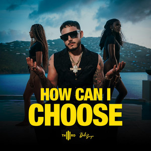 How Can I Choose by Th3rd, Deli Banger