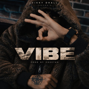 Vibe by Vikky Dhall, CHEETAH