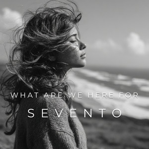 What Are We Here For by SEVENTO