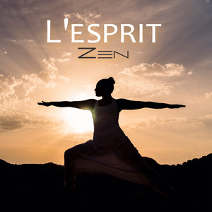 L'esprit Zen: Journée Sans Stress, se sentir prêt à partir