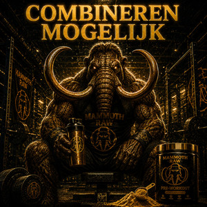 Combineren Mogelijk by Mammoth Raw