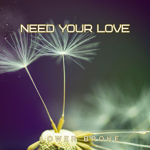 Need Your Love by Lower Broke