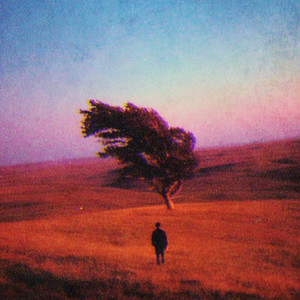 Melancholia by be kind to bees