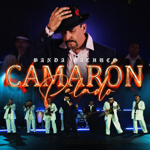 Camarón Pelado by Banda Pachuco