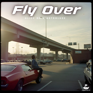 Fly Over by Alice Oh