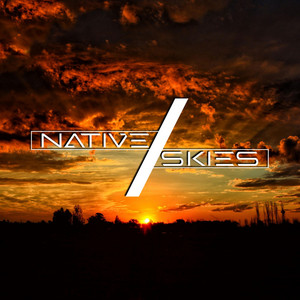 Native Skies poster
