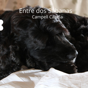 Entre dos Sábanas by Campell Capela