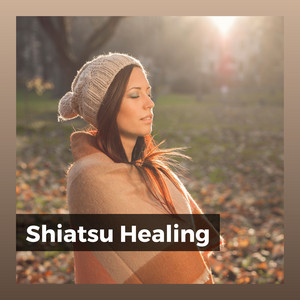 Shiatsu Healing album
