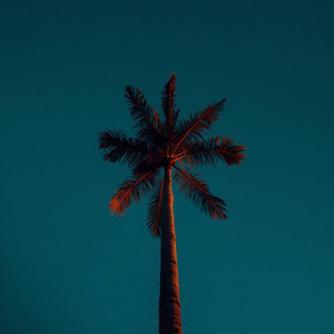Faded Love by Will Sunday