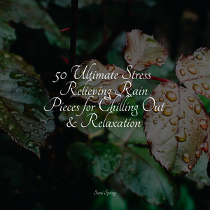 50 Ultimate Stress Relieving Rain Pieces for Chilling Out & Relaxation album