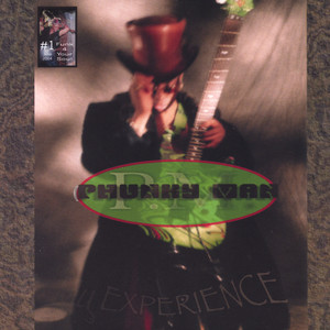 Phunkyman #1 My Experience