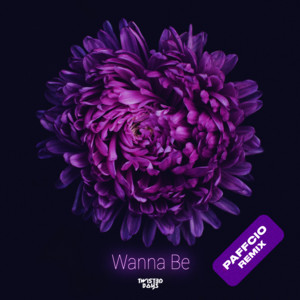 Wanna Be - PAFFCIO Remix