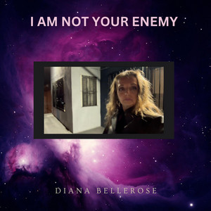 I Am Not Your Enemy by Diana Bellerose