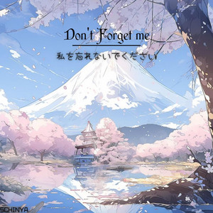 SCHINYA - Don't Forget me.