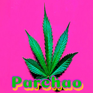 Parchao by La Demencia China, Jhon DC