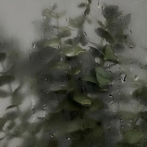 Mindful Daily Media - Only Memories